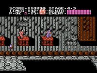 une photo d'Ã©cran de Shadow Warriors sur Nintendo Nes
